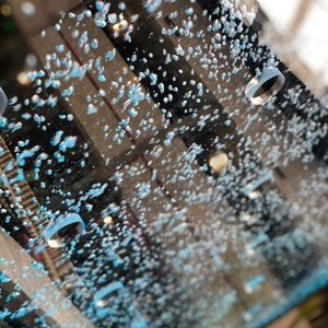 Meet your Posher, Adam